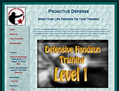 Proactive Defense